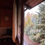 img 9681