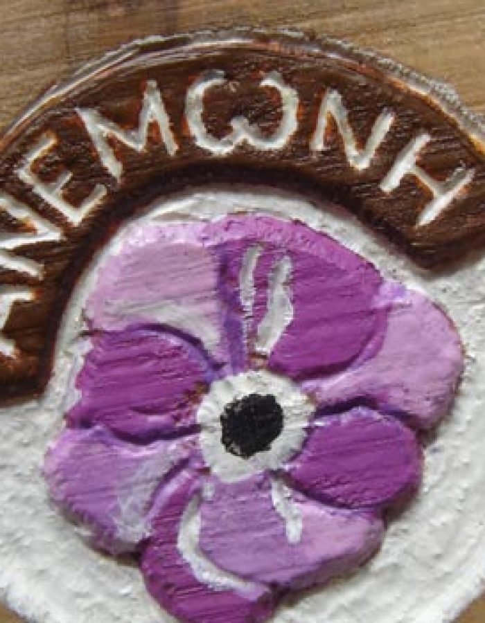 anemoni-room